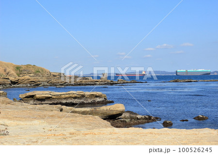神奈川県横須賀市の観音崎の海岸からの眺め 100526245