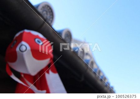 ねぷた金魚ちょうちん 『白壁の町並み』山口県柳井市 観光 100526375