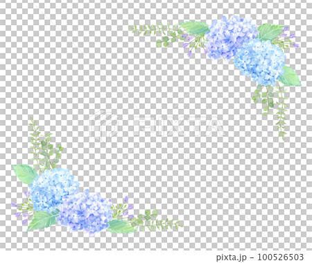 あじさいのコーナーフレーム 水彩イラスト あじさいのコーナーフレーム 水彩イラスト 100526503