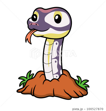 Cute banana pastel ball python cartoon out from hole 100527870