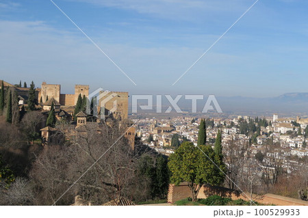 アルハンブラ宮殿とアルバイシン地区の風景 アルハンブラ宮殿とアルバイシン地区の風景 100529933