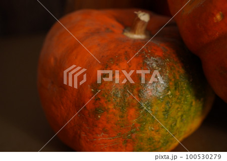 A close up photo of a bright orange pumpkin with early stages of fungal damage grey mold 100530279