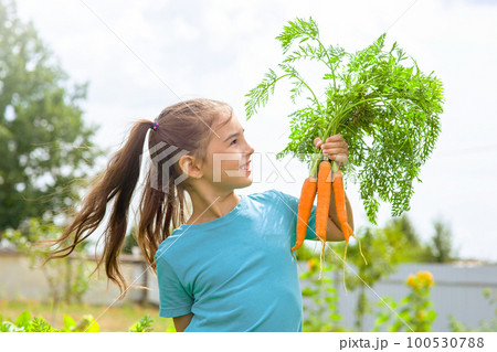 Smiling little girl in a green t-shirt holds a bunch of fresh carrots, 100530788