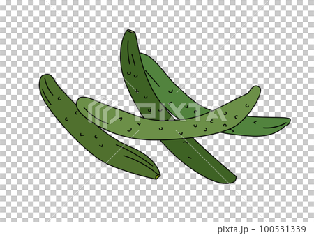 夏季蔬菜簡單插圖集 4 根黃瓜 100531339