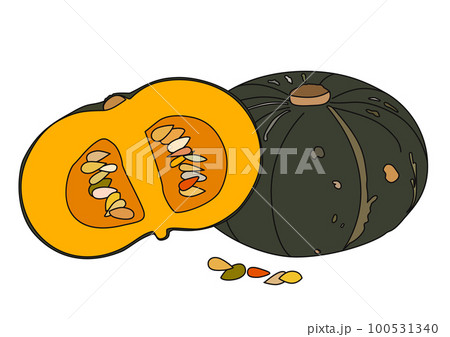夏野菜 かぼちゃ1個と半分にカットした断面のイラストセット 夏野菜 かぼちゃ1個と半分にカットした断面のイラストセット 100531340