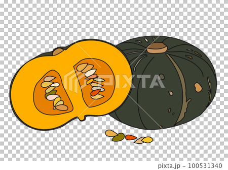 夏季蔬菜插圖集一個南瓜和切成兩半的橫截面 100531340