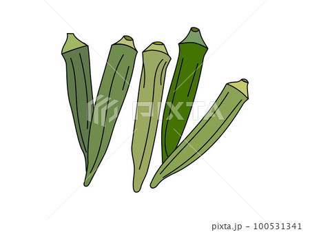 Vegetables. vector illustration © ddraw (#4483315)