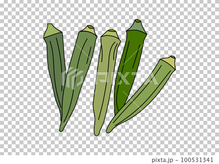 插圖集 5 種夏季蔬菜秋葵 插圖集 5 種夏季蔬菜秋葵 100531341