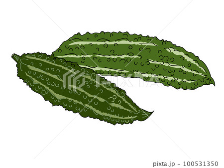 夏野菜 2本のゴーヤ にがうりのイラストセット 100531350