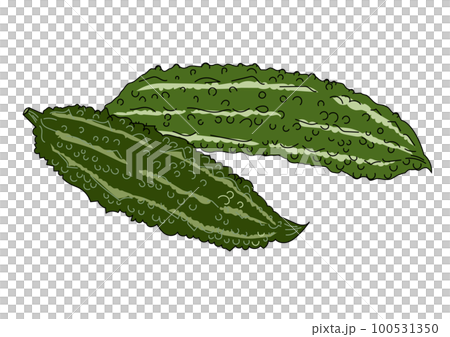 夏野菜 2本のゴーヤ にがうりのイラストセット 100531350