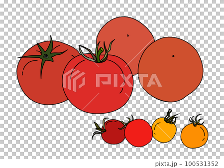 夏季蔬菜插圖集 4 個大番茄和 4 個櫻桃番茄 100531352
