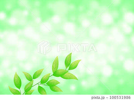 新緑の葉がグリーンに逆光で輝いて、さわやかなイメージ 新緑の葉がグリーンに逆光で輝いて、さわやかなイメージ 100531986