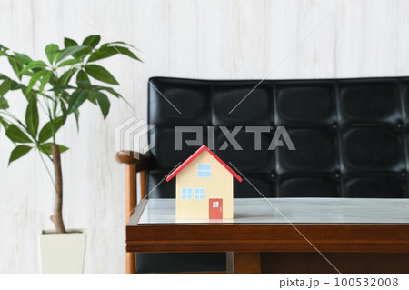 リビングのテーブルに置かれた住宅模型 リビングのテーブルに置かれた住宅模型 100532008