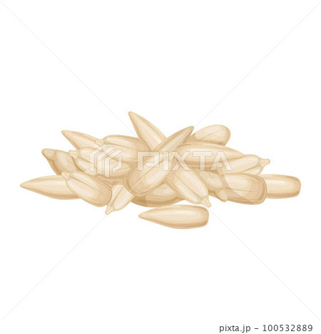 sunflower seed peeled cartoon vector illustration sunflower seed peeled cartoon vector illustration 100532889