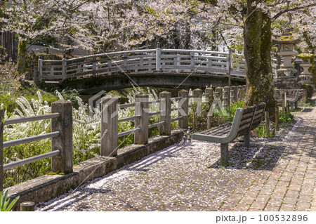 220416護国神社z027 220416護国神社z027 100532896