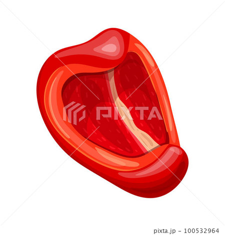 red pepper slice cartoon vector illustration red pepper slice cartoon vector illustration 100532964