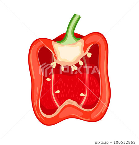 red pepper slice cartoon vector illustration red pepper slice cartoon vector illustration 100532965