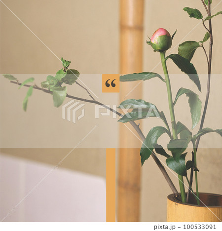 Social media quote template image background with space for words editing on mobile or software. 100533091