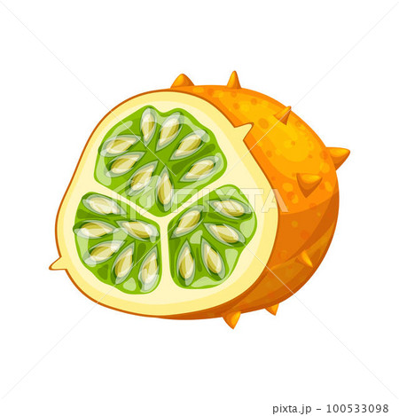 kiwano fruit food cut cartoon vector illustration 100533098