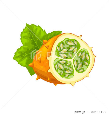 kiwano fruit food yellow cartoon vector illustration 100533100