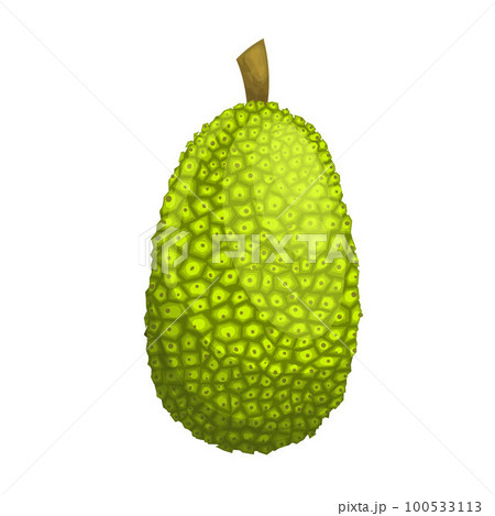 jackfruit food cartoon vector illustration 100533113