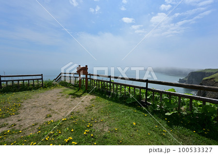 霧多布岬展望台 100533327