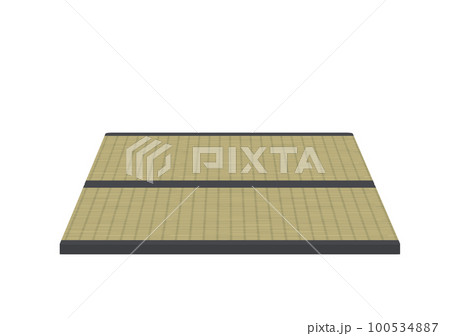 横に並べた二枚の日焼けした畳のイラスト 横に並べた二枚の日焼けした畳のイラスト 100534887