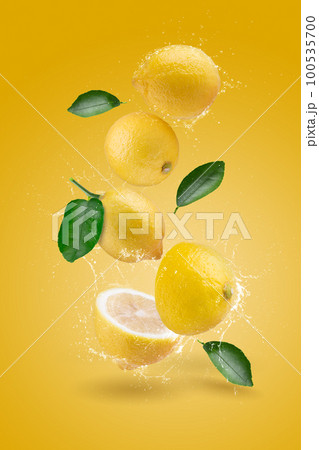 Water Splashing yellow lemon fruit on a yellow background. 100535700