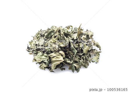 桑の葉茶 乾燥させた桑の葉 健康茶 健康飲料 イメージ素材 桑の葉茶 乾燥させた桑の葉 健康茶 健康飲料 イメージ素材 100536165