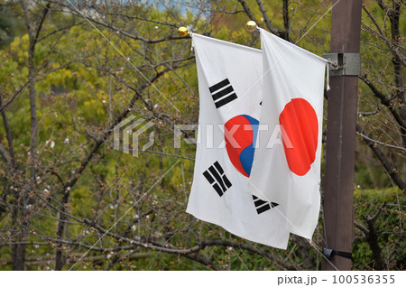 日本・韓国　両国旗 100536355