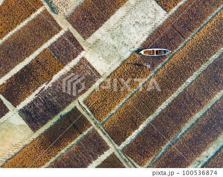 Aerial view of brown seaweed farm in Nusa Lembongan 100536874