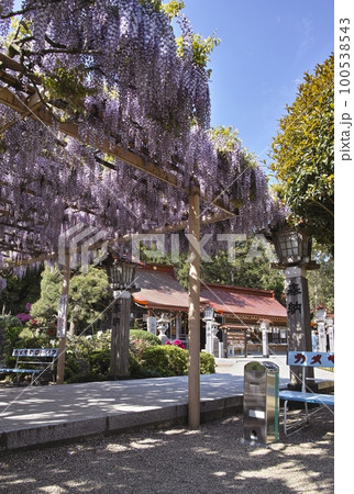 金蛇水神社 金蛇水神社 100538543