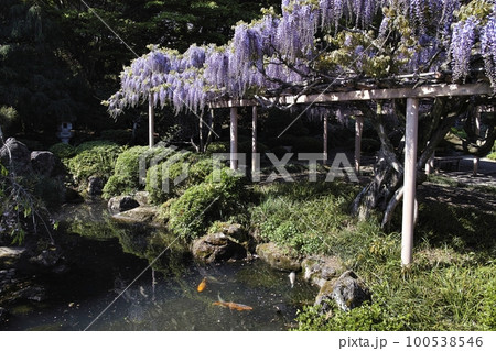 金蛇水神社 金蛇水神社 100538546