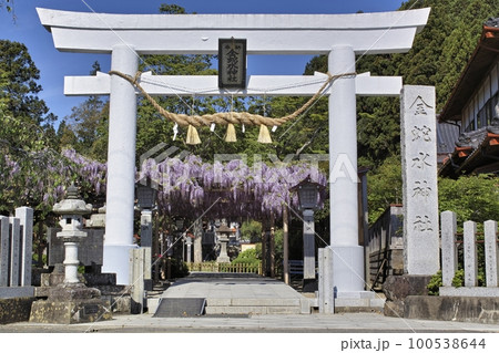 金蛇水神社 金蛇水神社 100538644