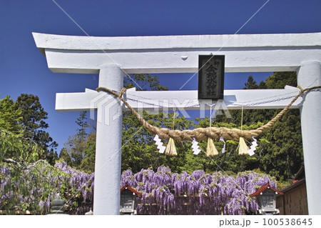金蛇水神社 金蛇水神社 100538645
