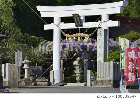 金蛇水神社 金蛇水神社 100538647