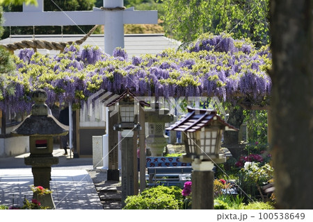 金蛇水神社 金蛇水神社 100538649