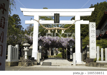 金蛇水神社 金蛇水神社 100538651