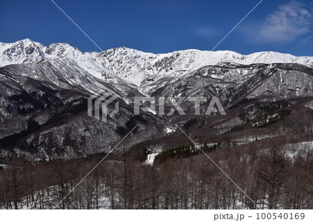 早春3月 白馬岩岳から見る 後立山連峰 早春3月 白馬岩岳から見る 後立山連峰 100540169