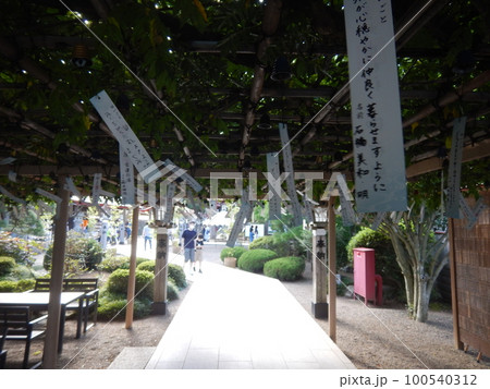 金蛇水神社 風鈴 金蛇水神社 風鈴 100540312