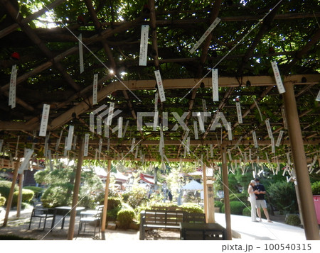 金蛇水神社 風鈴 金蛇水神社 風鈴 100540315