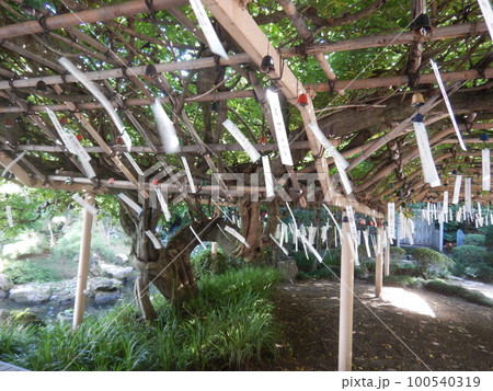 金蛇水神社　風鈴 100540319
