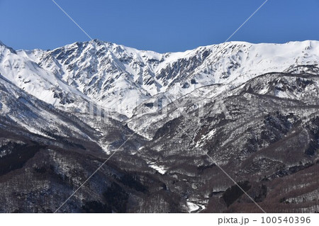 早春3月　白馬岩岳から見る　後立山連峰 100540396