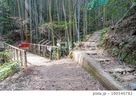 天王山の分岐(京都府大山崎町) 天王山の分岐(京都府大山崎町) 100540782