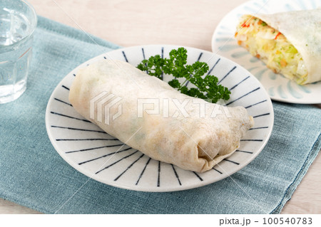 生春巻き 春巻き 春巻 100540783
