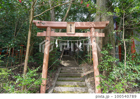 西山天王山にある龍王神社(京都府大山崎町) 西山天王山にある龍王神社(京都府大山崎町) 100540789