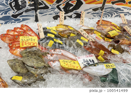 とれとれ市場の鮮魚コーナー並べられた鮮魚 100541499