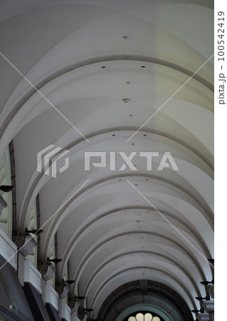 美しいアーチのアーケード 100542419