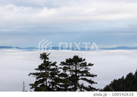 北海道十勝岳温泉カミホロ荘から見た雲海の風景 北海道十勝岳温泉カミホロ荘から見た雲海の風景 100542618