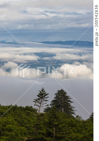 北海道十勝岳温泉カミホロ荘から見た雲海の風景 北海道十勝岳温泉カミホロ荘から見た雲海の風景 100542636